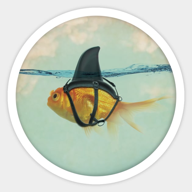 Goldfish with a Shark Fin Sticker by Vin Zzep